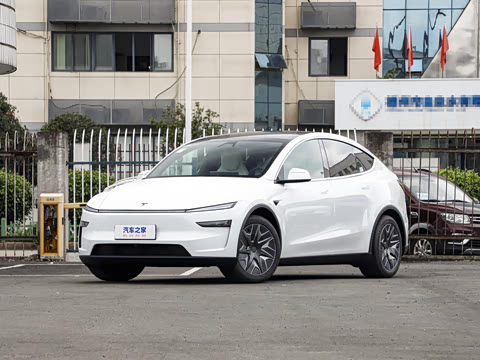 Model Y L